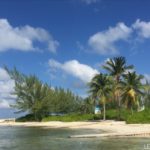 Kid Friendly Beaches in Grand Cayman - see the starfish at Starfish Point