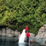 Activities and Attractions for Families Cruising from Vancouver